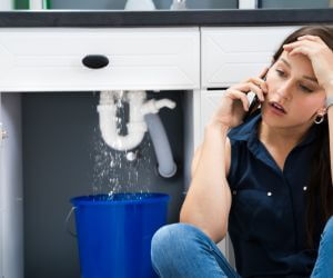 About Emergency plumbing pros Moapa, NV